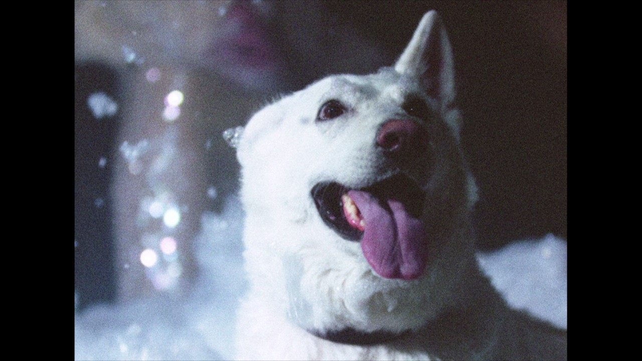 Watch Black Lips - Can't Hold On (Official Video) on YouTube