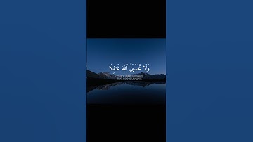 ما تيسر من سورة ابراهيم بصوت القارئ اسلام صبحي❤️