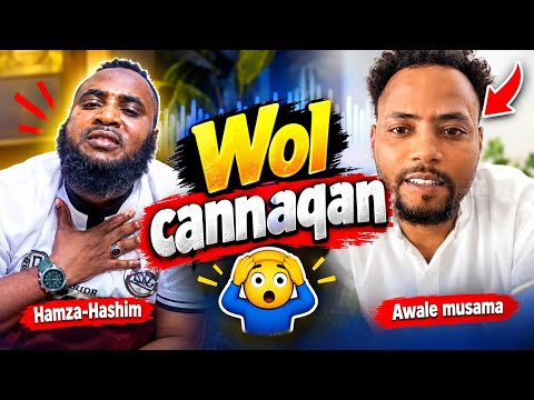 Awale musema fi Hamza hashim wol cannaqan😱 