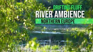 Evening Walk - River Ambience, Drifting Fluff, Bird songs and Water | Northern Europe | 37 Min