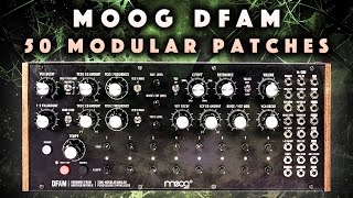 Moog DFAM: Modular Grooves Patches/Patterns. No Talk Demo
