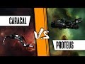 Hunting the belters proteus vs caracal