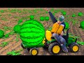 Damian and Darius Ride on Tractor farmer Outdoor Activities They Pick Watermelons