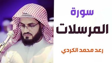 سورة المرسلات بصوت رعد محمد الكردي