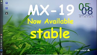 MX-19 “patito feo” Released!