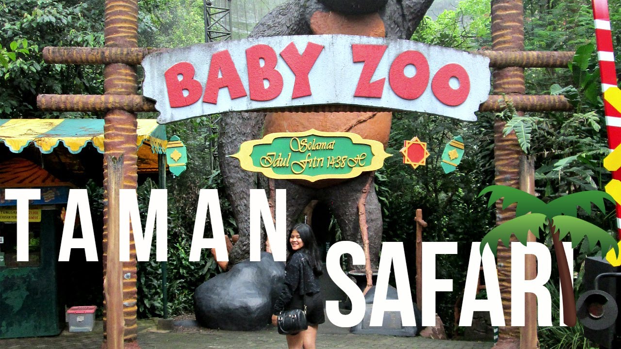 TAMAN SAFARI VLOG | BABY ZOO | INDONESIA 2017 | BANGUNIN SINGA LAGI