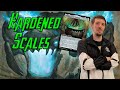 Modern Hardned Scales