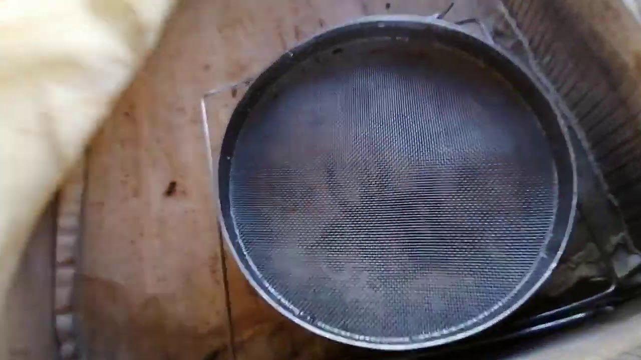 пчелиный кёрхер или как пчёлы моют сито