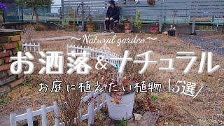 【ガーデニング】真冬でも常緑♪ナチュラルガーデンにぴったりの植物オススメ『5選』/お庭をお洒落にして癒やされよう‼ by まったり〜Happy garden life〜 4,299 views 4 months ago 6 minutes, 11 seconds