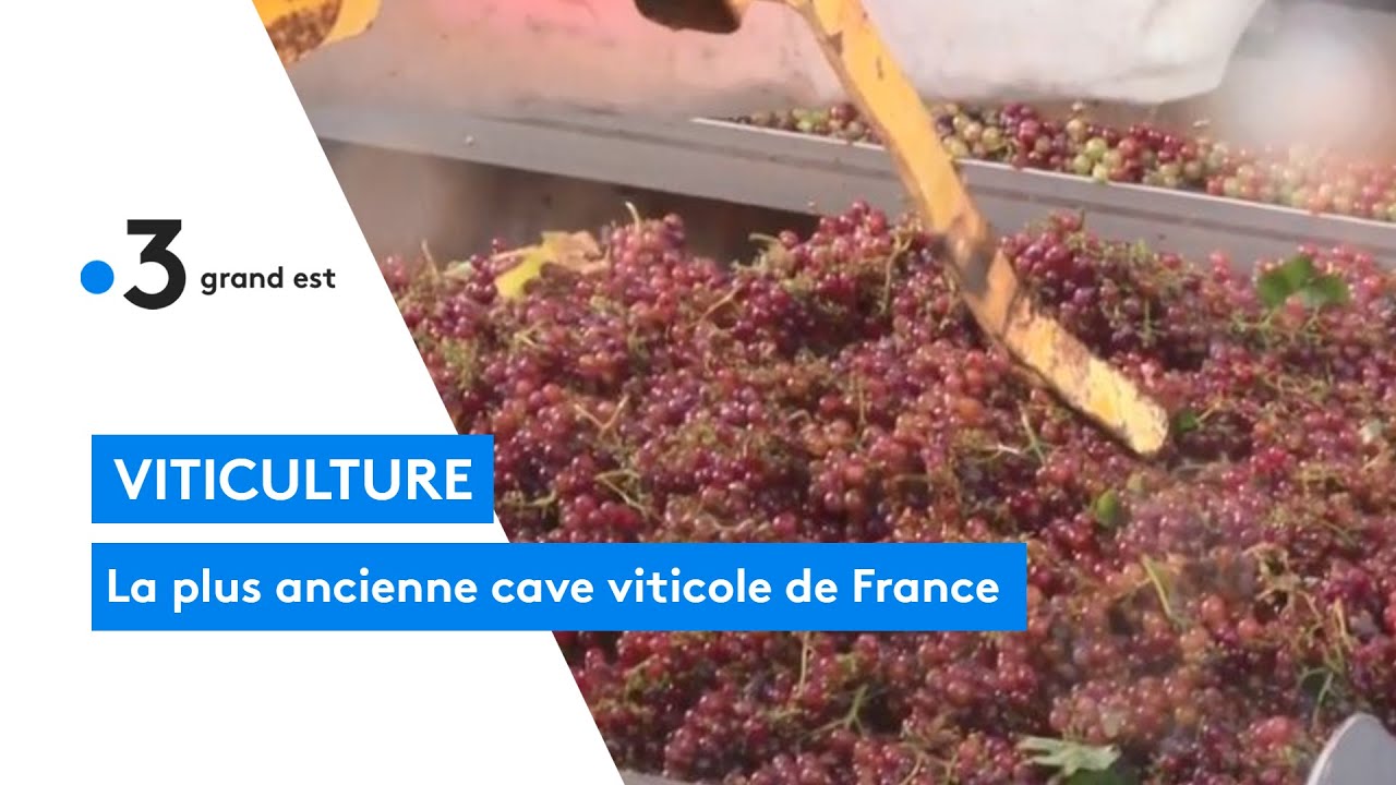 Les 125 ans de la Cave de Ribeauvillé