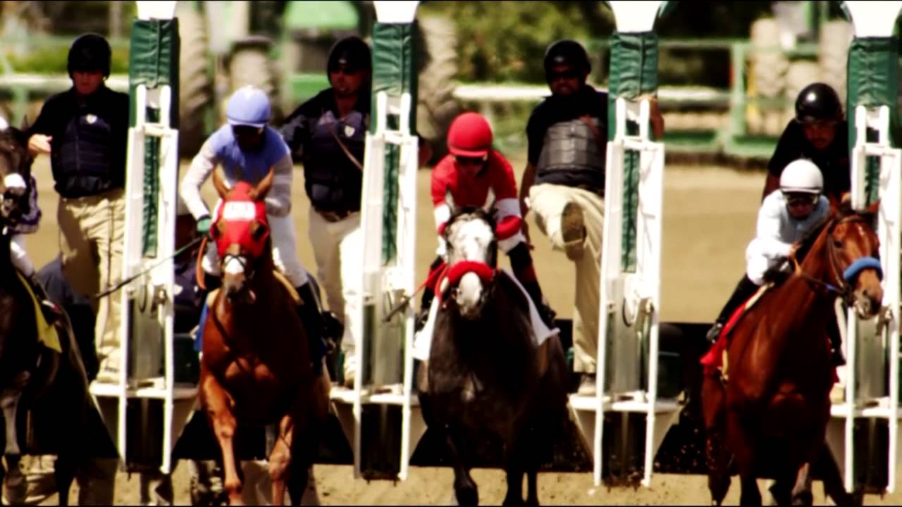 kentucky derby winner 2019 The Road to the Kentucky Derby: Points System