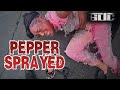 Cops Pepper Spray Woman Refusing to Get Out of Her Vehicle