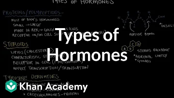 Are hormones lipids or proteins?