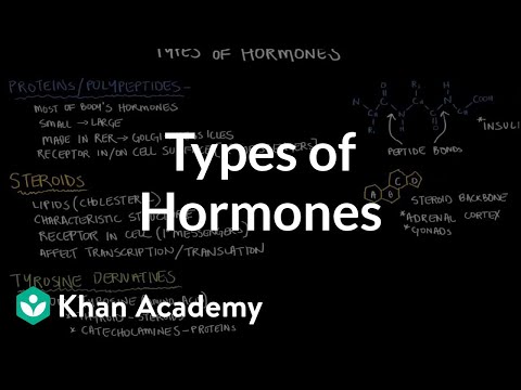 Video: Types Of Human Hormones And Their Functions, Types Of Tests For Hormones