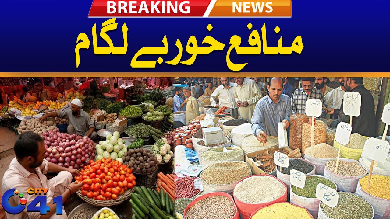 Profit Mafia Out Of Control | City 41