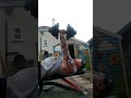 41.5kg dumbbell bench press