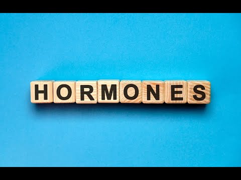 Dr. Komer speaks on optimal hormone levels