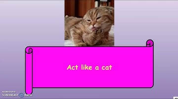 First Grade Skills Unit 3 Lesson 11