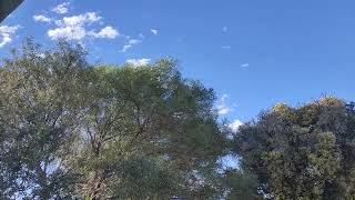 nature beauty relaxing bird sounds clear sky for energy, happiness and stress relief screenshot 4