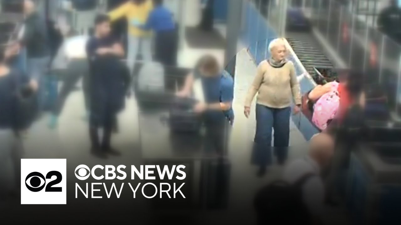 Video shows accused stowaway at JFK Airport