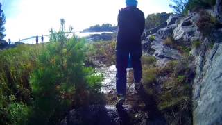 Newtoncamp 2014