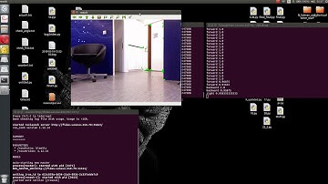 Visual Ego-motion- Maximum direction and the probability of the maximum direction in each frame