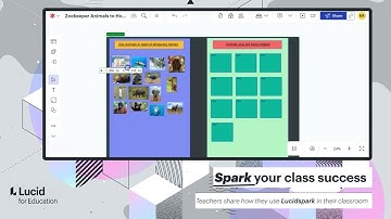 Managing Student Choices with Lucidspark