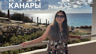 видео: Скорей на Канары!☀️Остров Fuerteventura-Обзор отеля Magic Life-Сколько стоит отдых? картинка: Скорей на Канары!☀️Остров Fuerteventura-Обзор отеля Magic Life-Сколько стоит отдых?