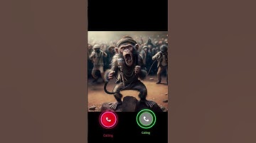 Monkey Calling #youtube #monkey #youtubeshorts #shorts #animals #animals