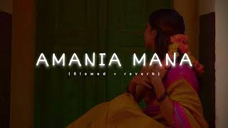 AMANIA MANA || LoFi StudiO || Slowed reverb || Odia best song || lofi- || music. @LofiGirl