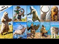 Every Animal Showcased in Assassin's Creed Games (2007-2021)