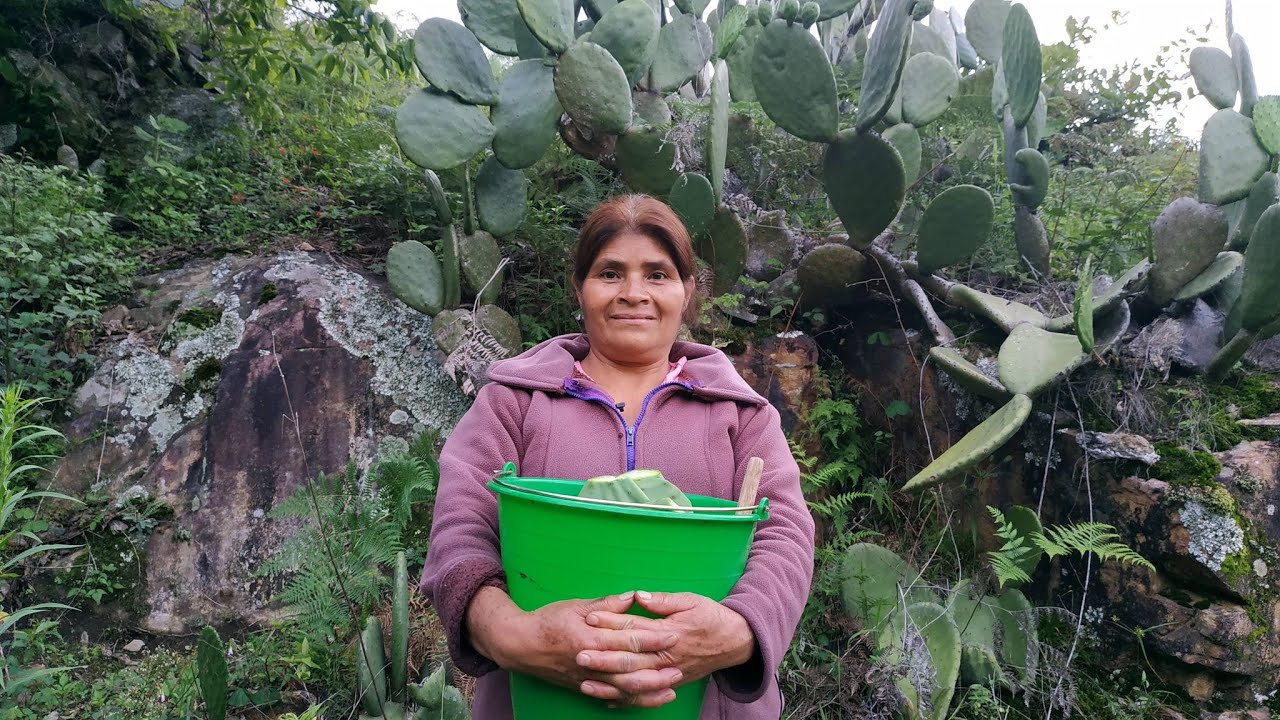 Preparo un rico guisado de nopal, los ingredientes son asados y molidos a mano en metate
