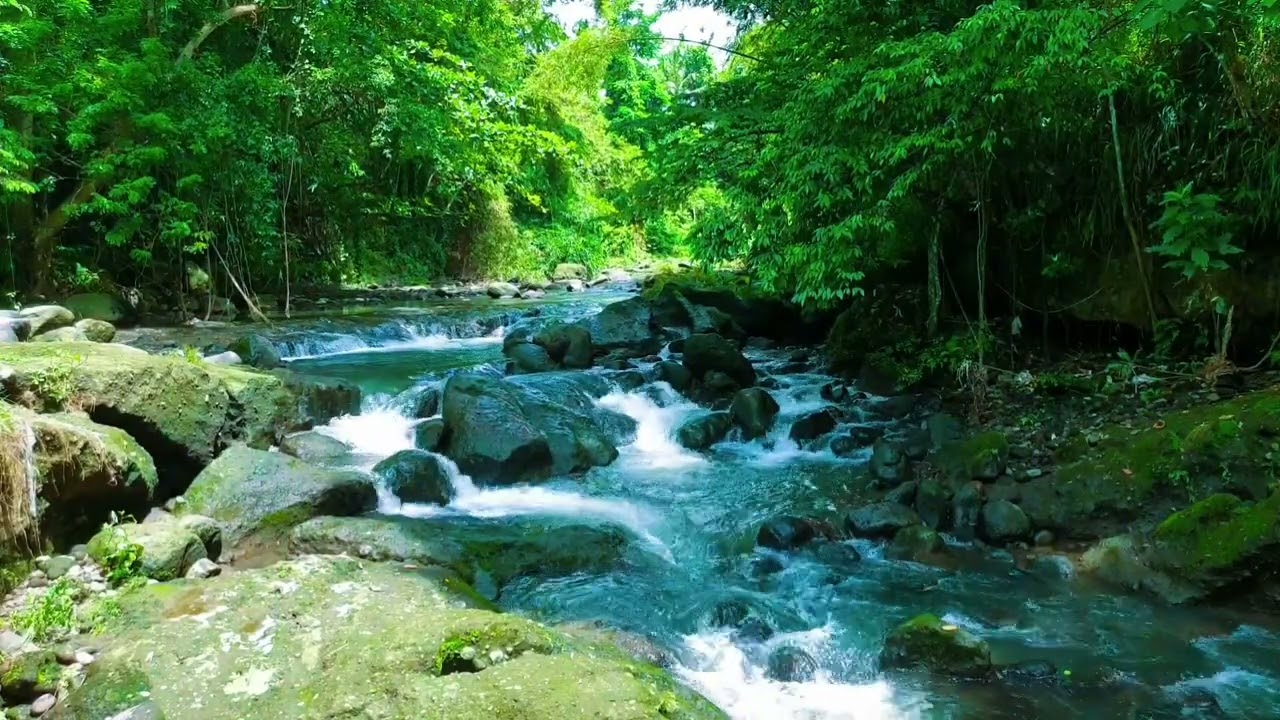3 HOURS Nature Relaxation: Secret Forest River for Meditation & Healing