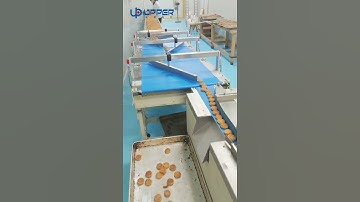 Automatic biscuit feeding packing machine, directly connect the production system