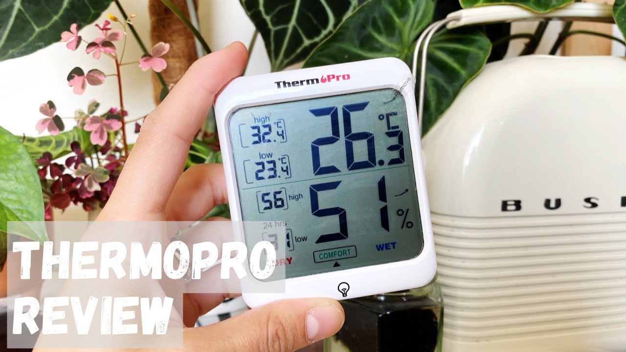 Thermopro Thermometer Review