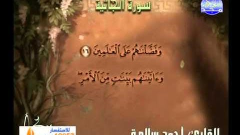 سورة الجاثية ـــ احمد سلامة