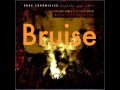 Bruise by the rose chronicles