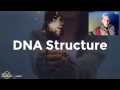 Lasseter ap bio 17 dna structure  replication