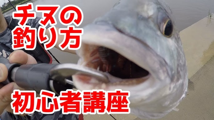 Fishing Beginner Course With Lure 3 Types Of Fishing Aiming Place Rod Action Youtube Fishing Beginner Course With Lure 3 Types Of Fishing Aiming Place Rod Action Youtube