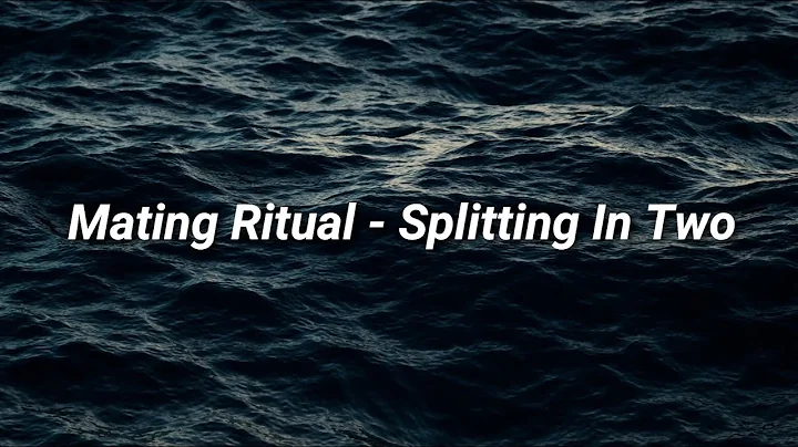 Mating Ritual - Splitting In Two (Lyrics)