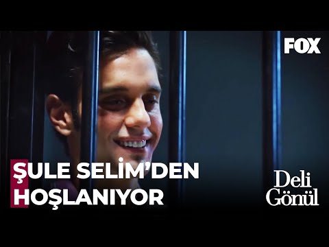Şule Selim'i Yalnız