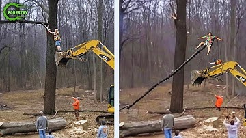 Idioten met kettingzagen: mislukte boomkap | Extreem gevaarlijke houtvrachtwagen mislukt #12