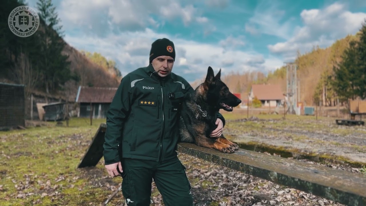 NAJLEPŠÍ POLICAJNÝ PES (8.): TOTO JE RONY