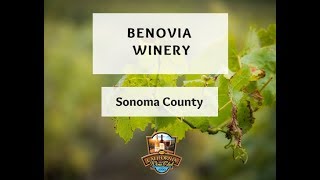Benovia Winery - Crafting Expressive Wines Through Site and Farming