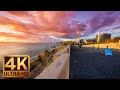 4K UltraHD Urban Relaxation Video with City Sounds - Olympic Sculpture Park, Seattle