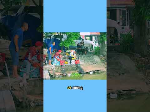 Câu Cá Diếc Tại Sông Nhỏ Ở Ninh Bình - Thành Quả Bất Ngờ!