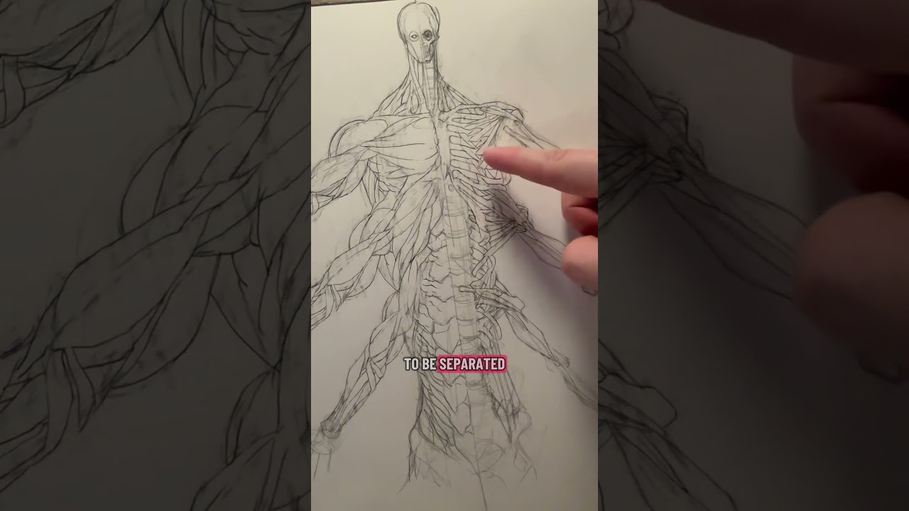 Как бы работало наличие шести рук? 