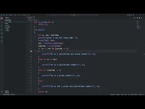 C Program to Check Prime and Palindrome Number Using Recursion | Simply