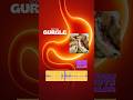 Gyoza Gurgle #ASMR #OddlySatisfying #DailyGurgle #Digestion #Gurgle