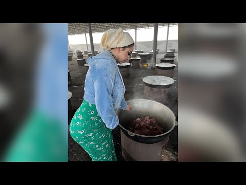 Таджикские Приколы Vine / Приколи Тоҷики - 2024 #286